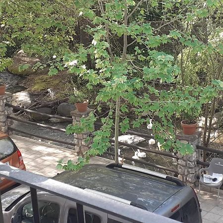 Apartamentos Pinos Genil Dış mekan fotoğraf