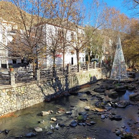 Apartamentos Pinos Genil Dış mekan fotoğraf