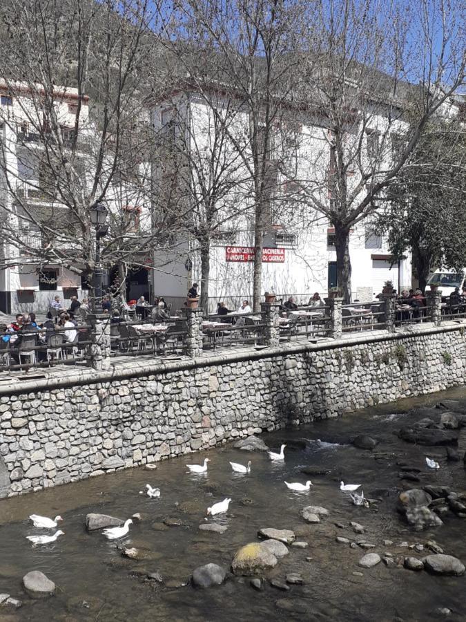 Apartamentos Pinos Genil Dış mekan fotoğraf