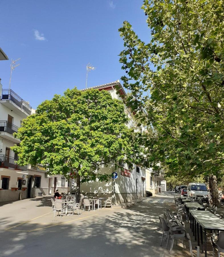 Apartamentos Pinos Genil Dış mekan fotoğraf
