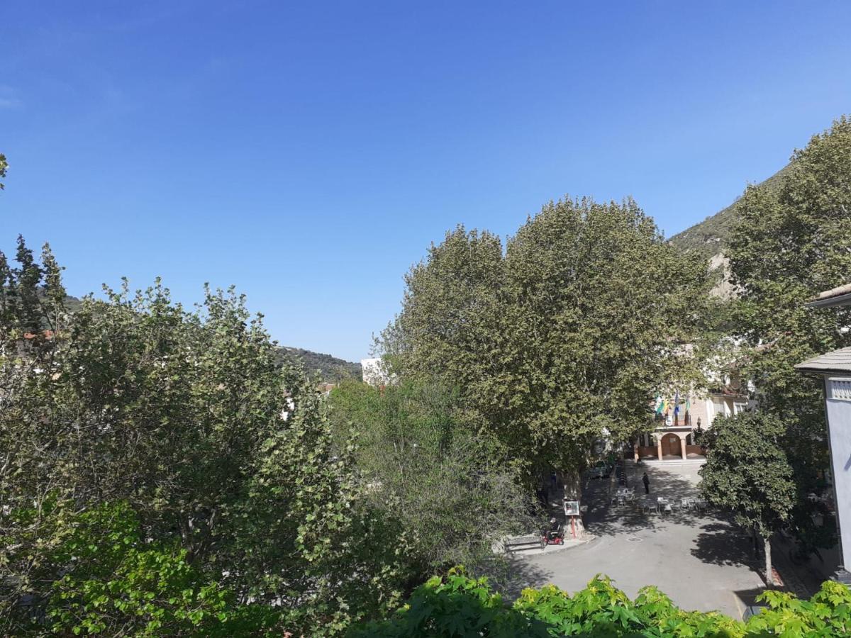 Apartamentos Pinos Genil Dış mekan fotoğraf