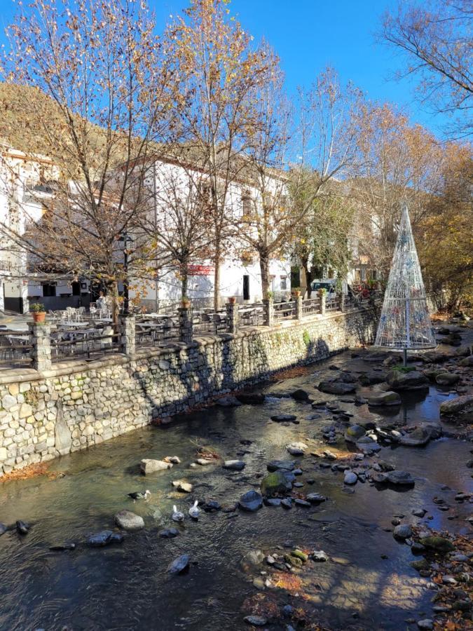 Apartamentos Pinos Genil Dış mekan fotoğraf